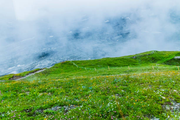 The Village Grindelwald in Switzerland