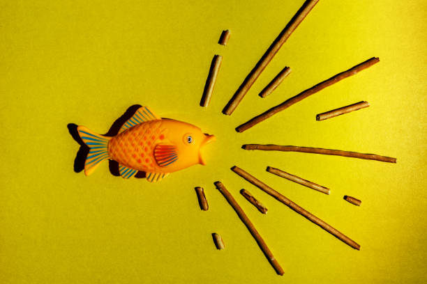 Two goldfish scented candle on white background.