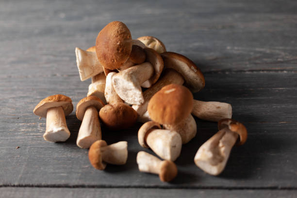 istock Porcini or white mushrooms from forest on a table. Rustic style. 1336510181