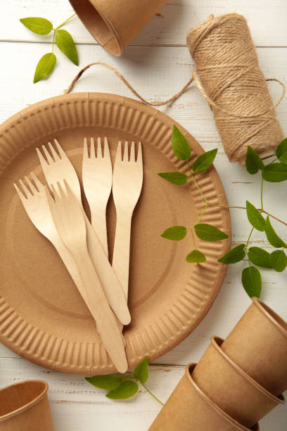 istock Eco friendly disposable dishes with green leaves on white background. Plastic free background. 1336510784