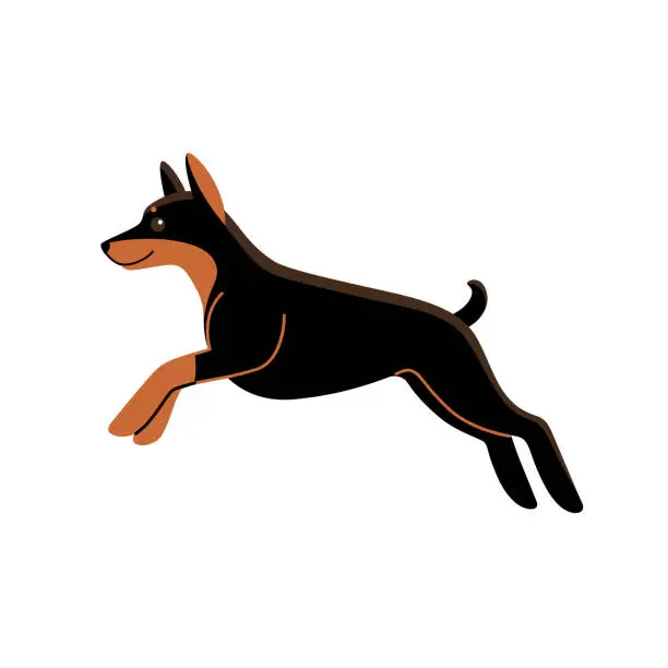 Vector illustration of dog