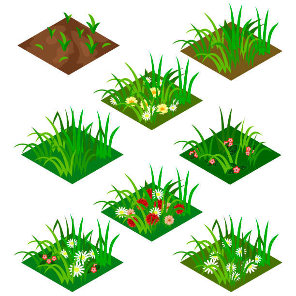 ilustrações, clipart, desenhos animados e ícones de conjunto de azulejos isométricos de jardim ou fazenda - flower bed gardening flower field