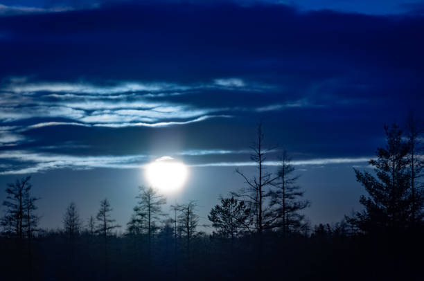 istock Winter moonrise at Mer Bleue. 1336519932