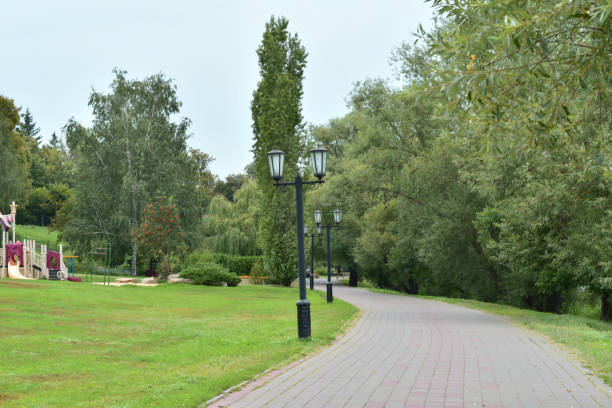 istock A stone flat path is laid along the embankment. 1336521365