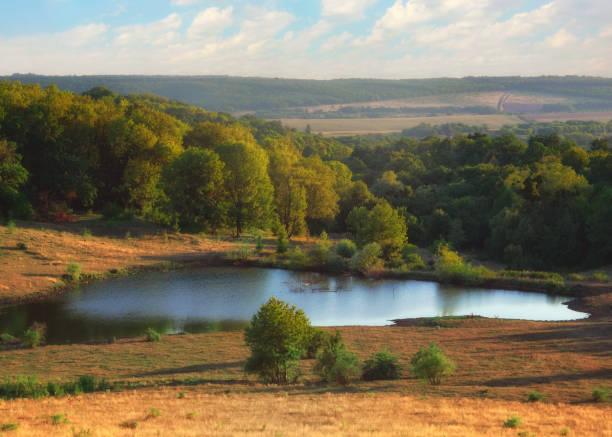 istock Beautiful autumn landscape. A forest and a small lake. Soft evening sunlight. 1336523070