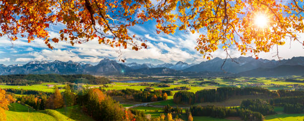 chaîne de montagnes panoramique en bavière, allemagne - allgau field landscape bavaria photos et images de collection