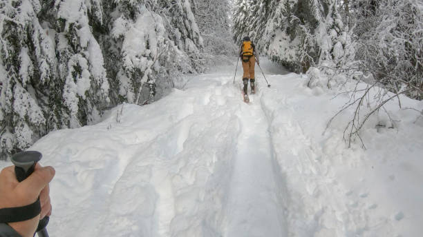 joven esquía a través de un bosque nevado - determination telemark skiing exploration winter fotografías e imágenes de stock