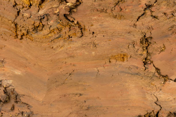 istock Excavation, The soil is earth tone. 1336523277