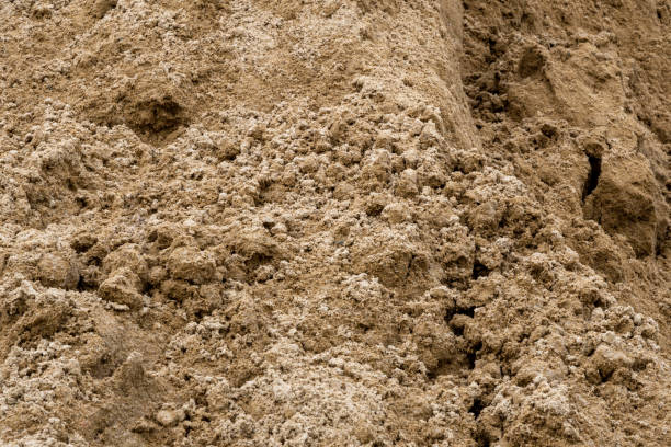 istock Close up to brown sand texture and background. 1336523330