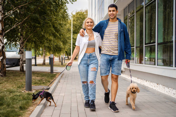 istock Let's walk the dogs together 1336524311