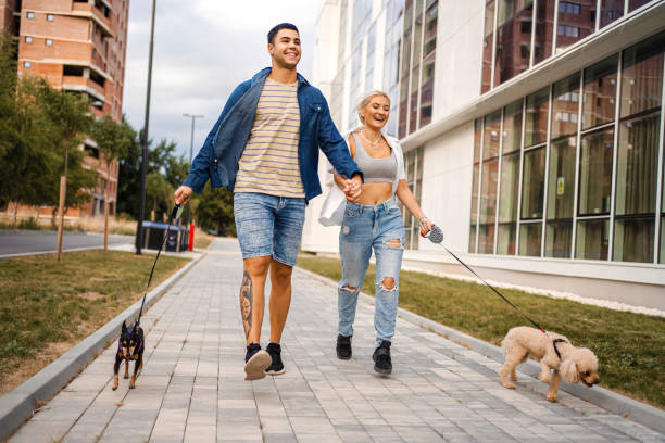 istock Let's walk the dogs together 1336524326