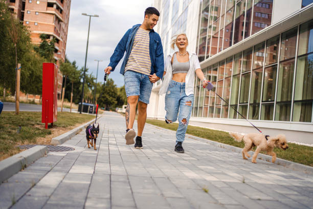 istock Let's walk the dogs together 1336524346