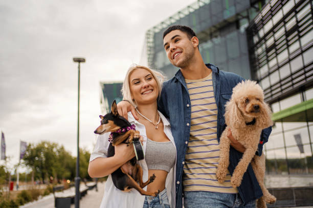 istock Let's walk the dogs together 1336524649