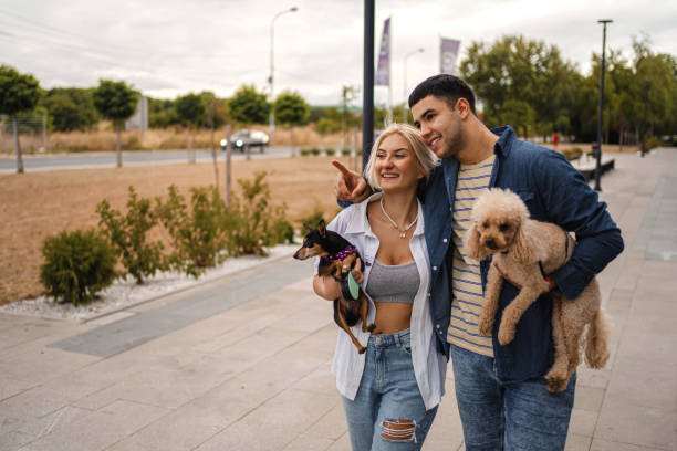 istock Let's walk the dogs together 1336524659