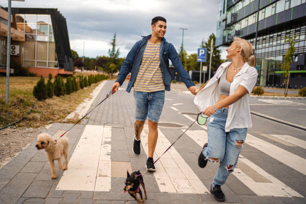 istock Let's walk the dogs together 1336524701