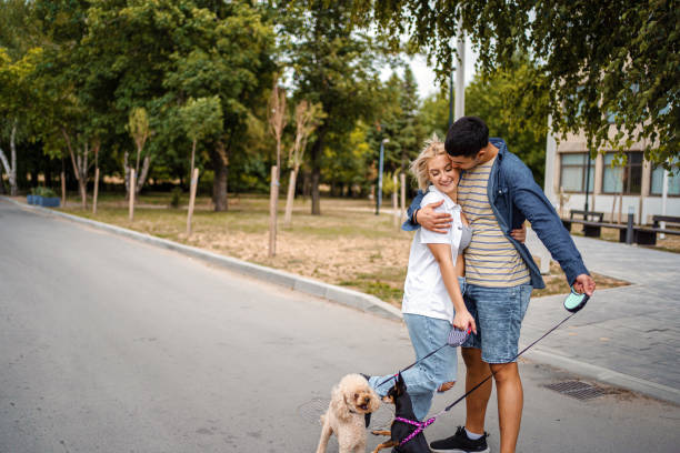 istock Let's walk the dogs together 1336524724