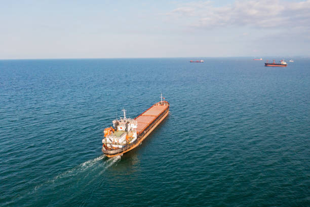 istock Aerial view of Cargo Ship Vessel in transit. 1336526219