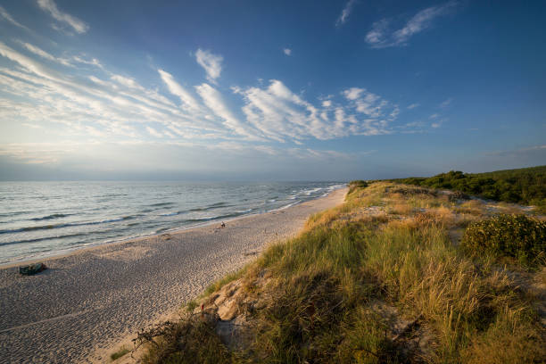 istock Beach near dune Efa, Curonian spit, Russia 1336528903
