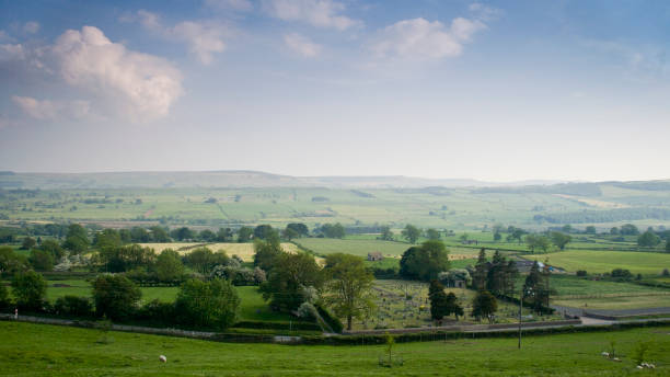 wiew de la campagne du yorkshire en été près de leyburn, north yorkshire - wensleydale blue photos et images de collection