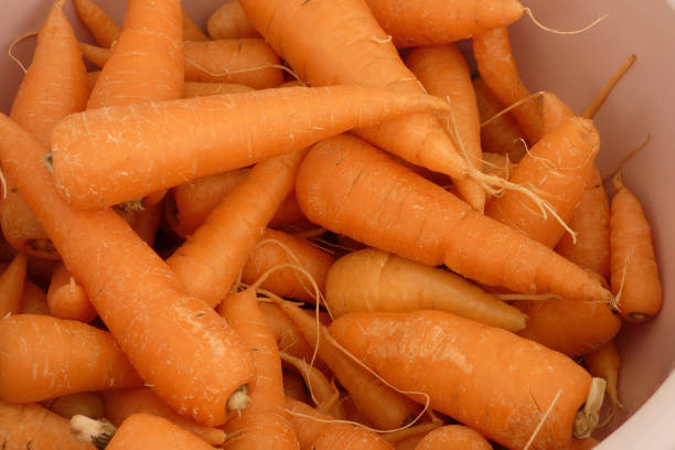 fresh and organic carrot,close-up orange carrot,