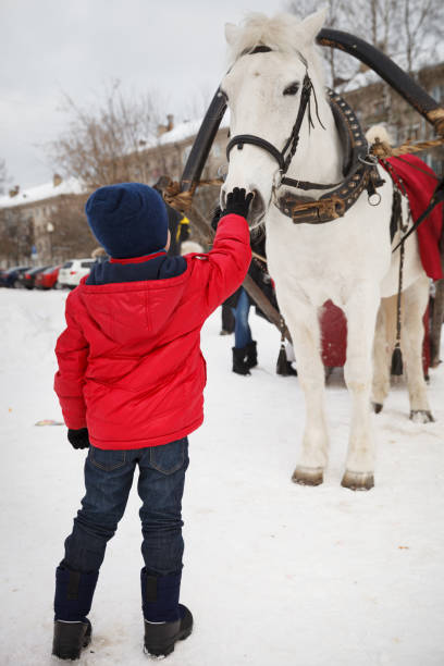 cute kid boy in a red jacket stroking a white horse harnessed to a sled. the child thanks the horse after riding in a sleigh. holiday horseback riding in winter - teaching child horseback riding horse imagens e fotografias de stock