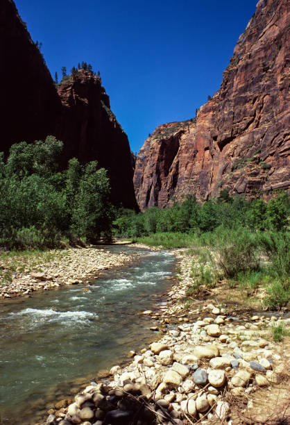 istock Zion National Park - Virgin River Vertical - 1978 1336536128