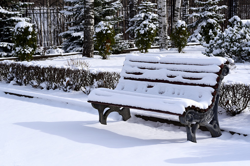 Sunny, frosty winter day in the city park of Perhe Puisto, Lahti, Finland.