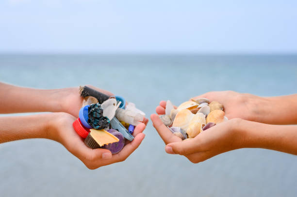 istock An example of environmental pollution by tourists. Garbage and seashells in the hands of children on the background of the sea 1336542199