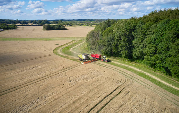 istock Combine harvester and tractor 1336545091