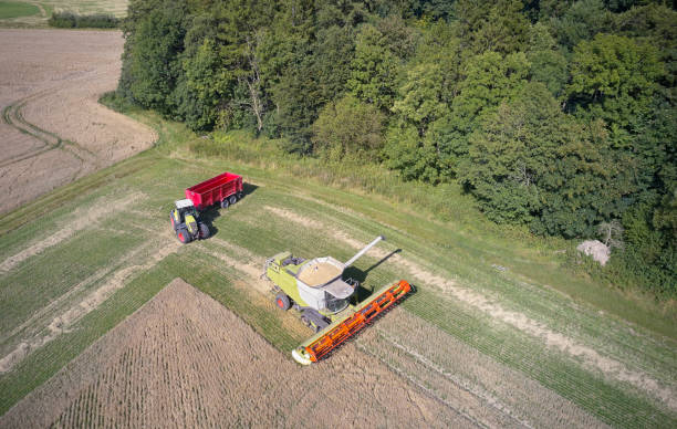 istock Combine harvester and tractor 1336545140