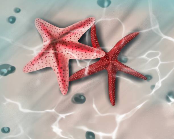 istock Watercolor Background of the seabed sand with stone and starfish 1336545388