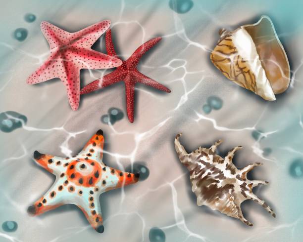 istock Watercolor Background of the seabed sand with stone, starfish and seashells 1336545436