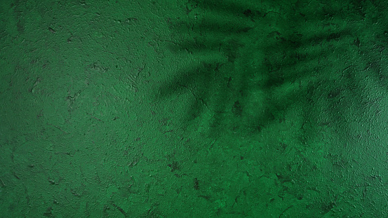 Dark green aesthetic shadow photography backdrop background. Modern stylish flat lay, top view minimalism creative layout.