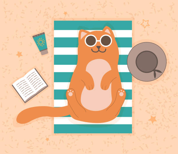 ビーチに横たわる猫 - relaxation vacations heat sunglasses点のイラスト素材／クリップアート素材／マンガ素材／アイコン素材
