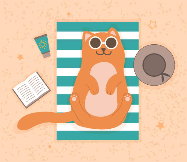 해변에 누워 있는 고양이 - relaxation vacations heat sunglasses stock illustrations