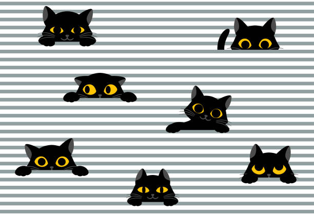 Black cat peeks out from stripes Black cat peeks out from stripes. Seamless pattern for printing on paper and fabric. Cute pet with yellow eyes. Design element for decorating wall. Cartoon flat vector illustration on white background cats stock illustrations