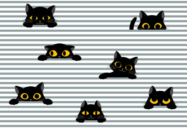 Black cat peeks out from stripes Black cat peeks out from stripes. Seamless pattern for printing on paper and fabric. Cute pet with yellow eyes. Design element for decorating wall. Cartoon flat vector illustration on white background peeking stock illustrations