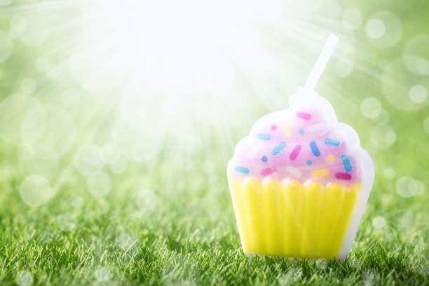 Birthday cake candle on green grass background. Holiday celebration