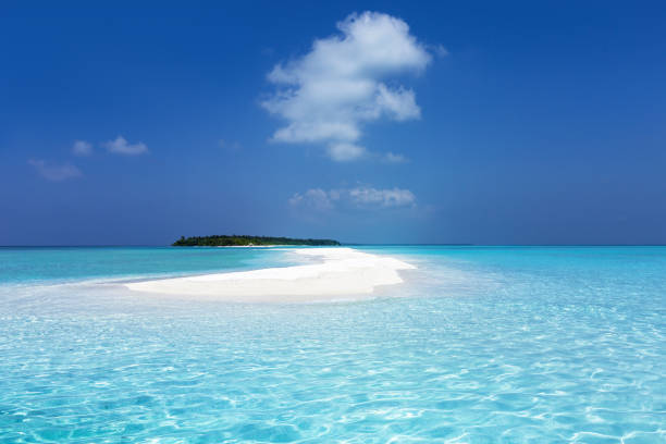 istock Maldivian sandbank in Indian ocean 1336552374