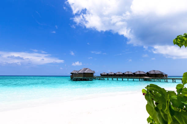 istock water bungalows at maldivian island 1336553461