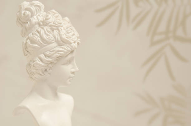 istock Botanical sand color background template with female portrait image. 1336555658