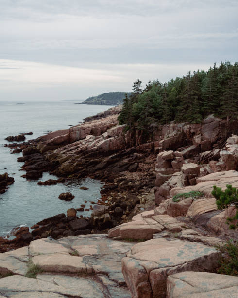 istock Rock and Cliffs in Acadia National Park 1336561214