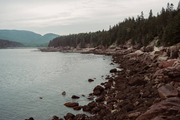 istock Rock and Cliffs in Acadia National Park 1336561238