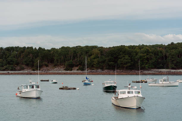 istock Boats in Acadia National Park 1336561274