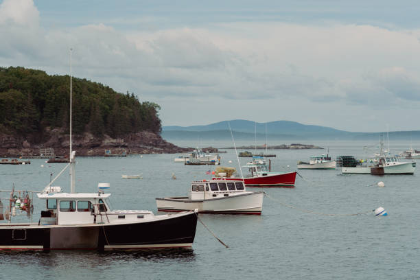 istock Boats in Acadia National Park 1336561290