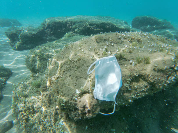 istock Discarded surgical face mask floating on contaminated sea ecosystem,covid19 environment pollution 1336561811