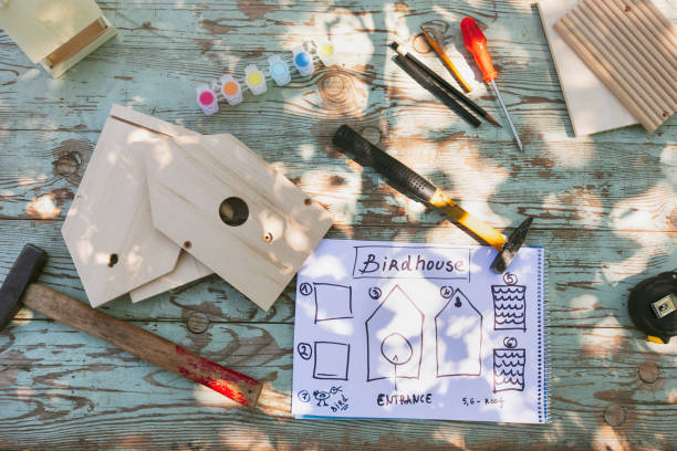 A sketch for a birdhouse