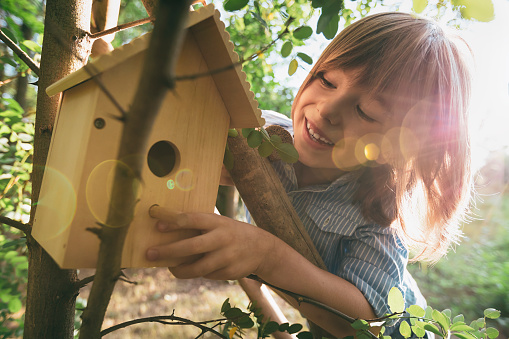 Portrait of a happy boy hanging birdhouse on a tree. Teaching children about sustainability.
