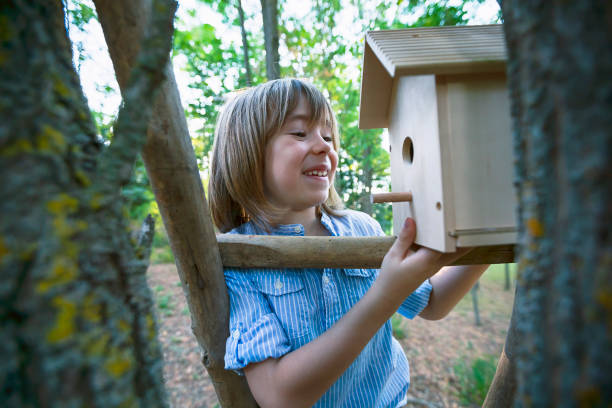 istock Happy boy hanging birdhouse on a tree 1336567332