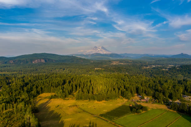 istock Mount Rainier & the Cascades 1336568123